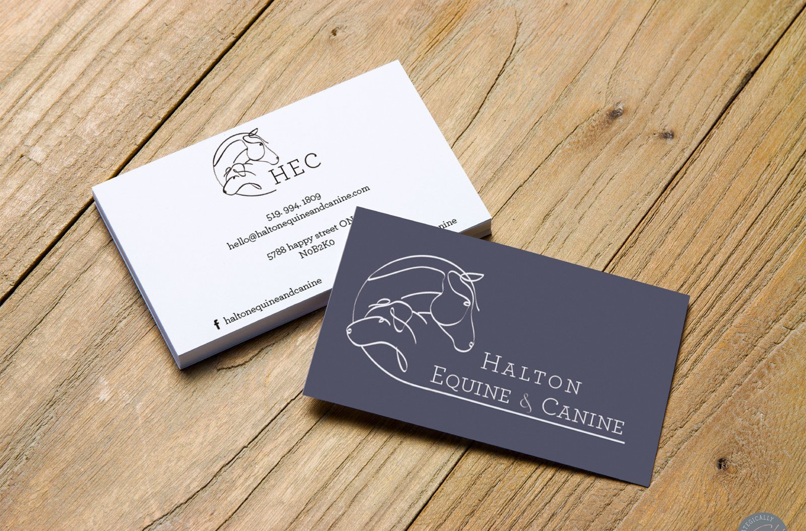 Halton Equine & Canine business cards