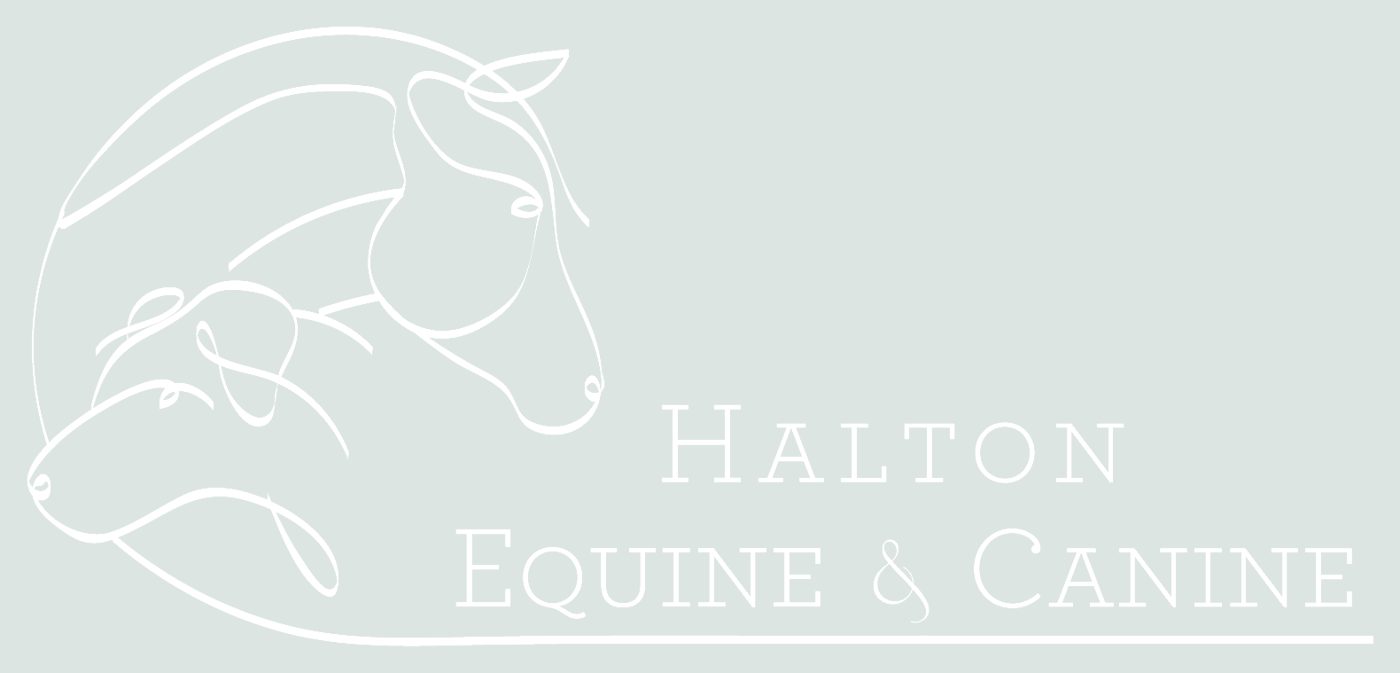 Primary logo