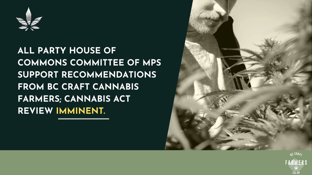 Advocacy update graphic
